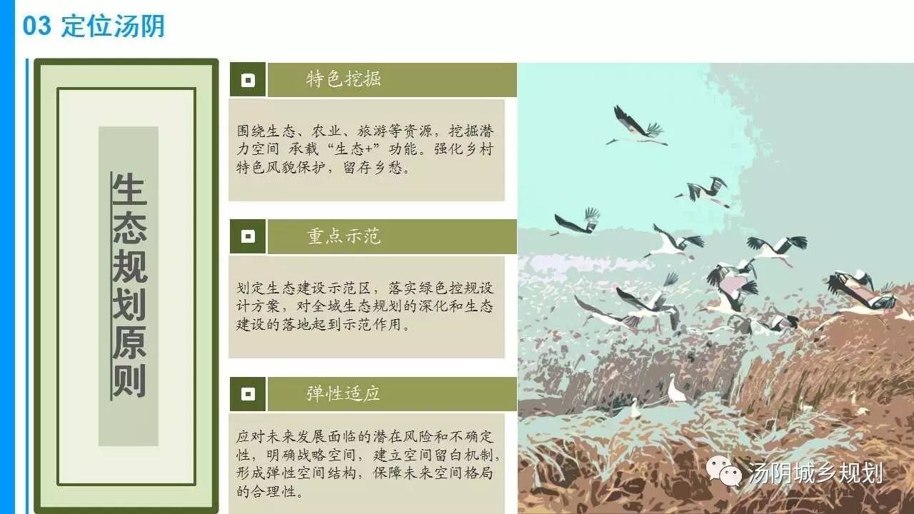 最新生態(tài)導(dǎo)則，構(gòu)建可持續(xù)的生態(tài)未來之路