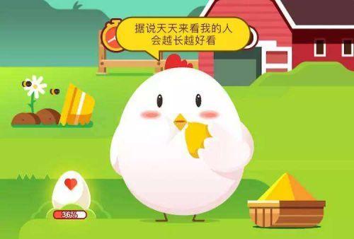 螞蟻莊園最新答案揭秘，友情的小故事篇章（29日更新）