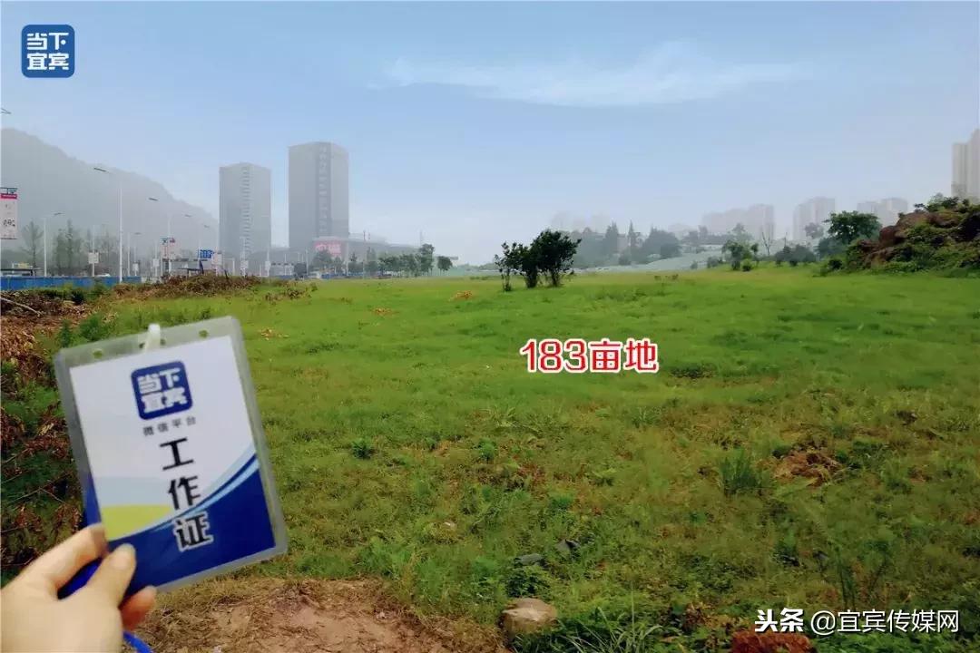 招標(biāo)最新動(dòng)態(tài)及日常溫馨提醒