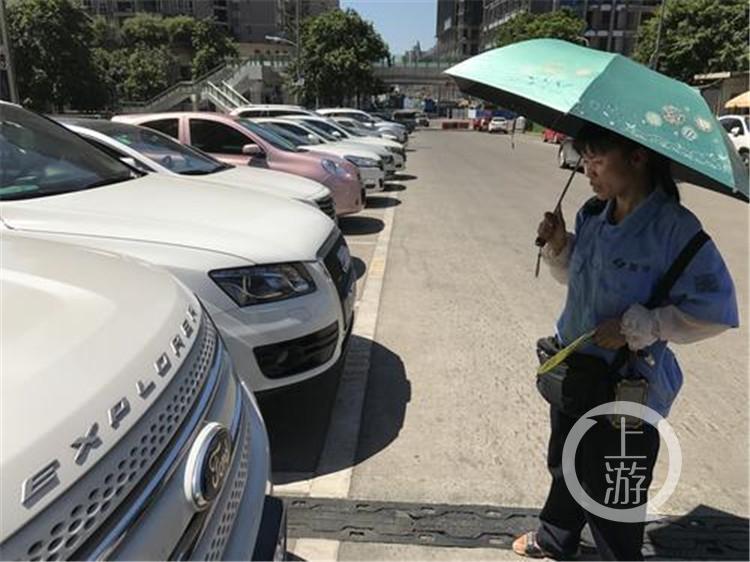 最新收費員，自然美景的親密之旅體驗
