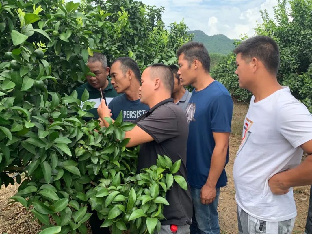 廣西最新疫情多維視角觀點(diǎn)闡述