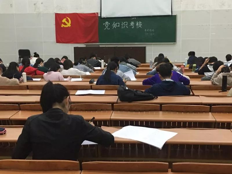 黨考試最新資訊，小巷深處的隱藏瑰寶