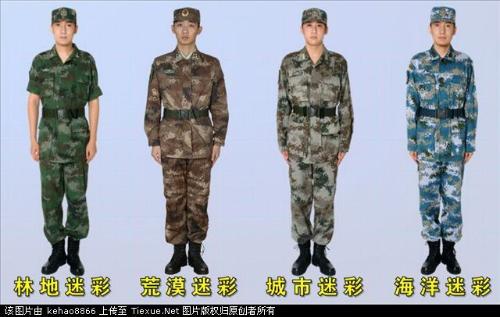 武警迷彩最新探索，新時代軍迷文化的獨特魅力
