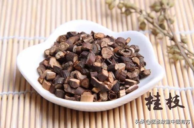 勞桂枝最新,勞桂枝最新研究進(jìn)展及動(dòng)態(tài)分析
