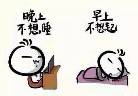 熬夜探索星辰與美景的治愈之旅，與星辰共舞，領(lǐng)略自然魅力
