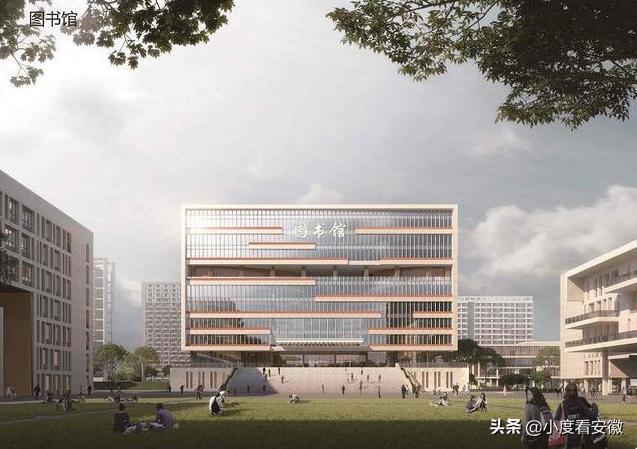 合肥最新規(guī)定詳解，一步步指南