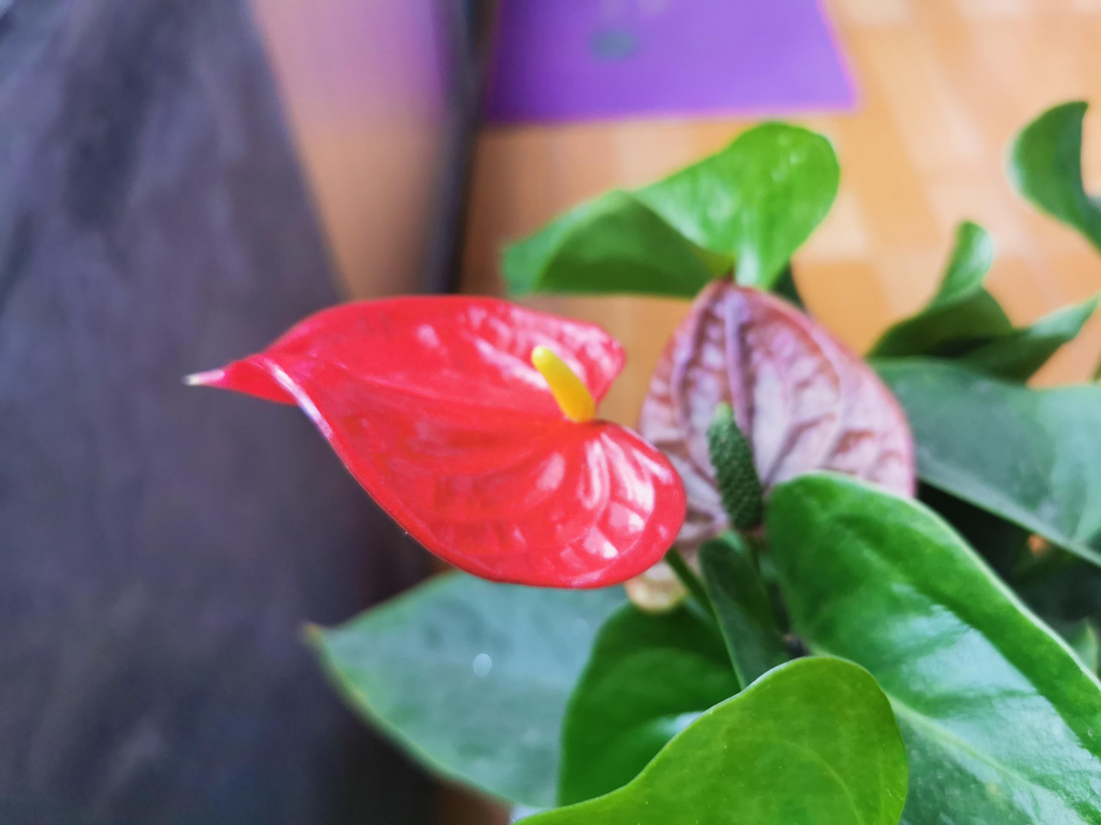 點(diǎn)亮日常小確幸，最新黃蠟燭???的魅力