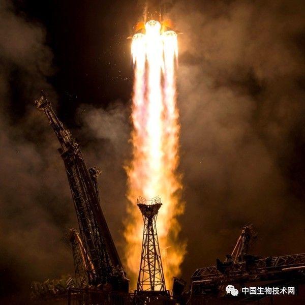 單梁起重機 第4頁