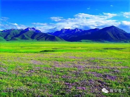最新巴塘新聞，小巷深處的獨(dú)特風(fēng)味，隱藏版特色小店驚艷亮相